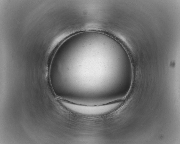 X0000091661461200709061010