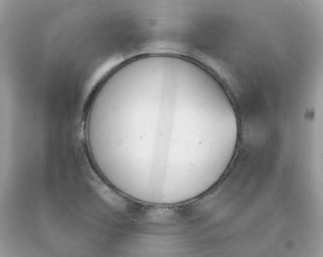 X0000091661462200709061010