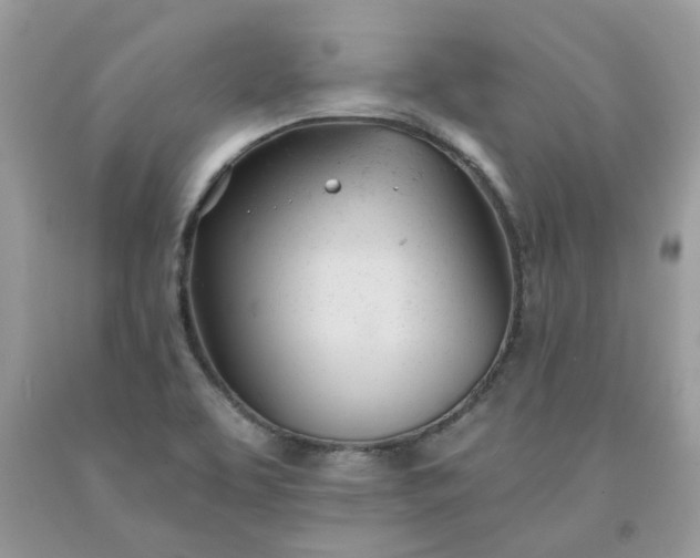 X0000091661463200709061010