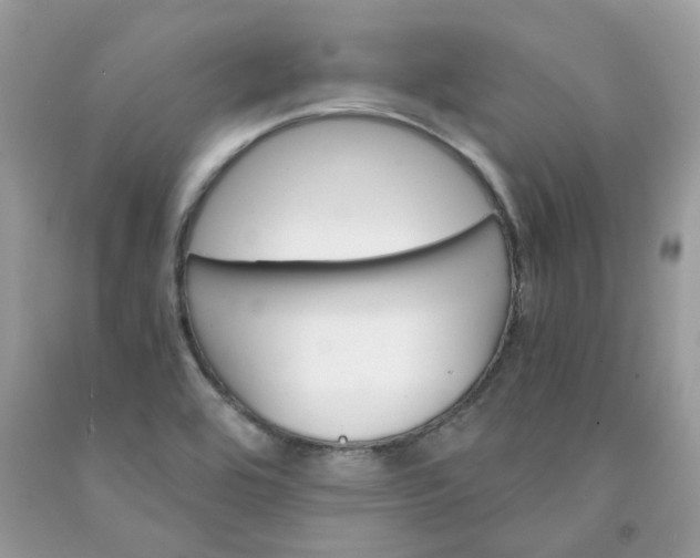 X0000091661464200709061010