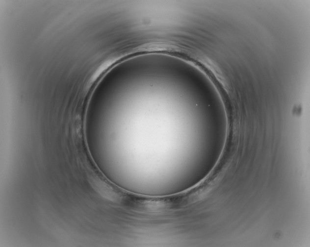 X0000091661465200709061010