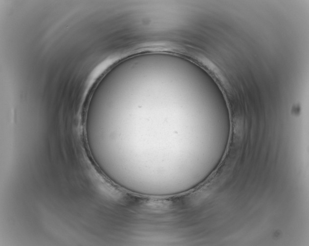 X0000091661466200709061010