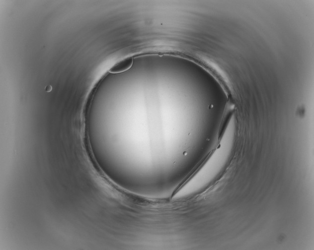 X0000091661467200709061010