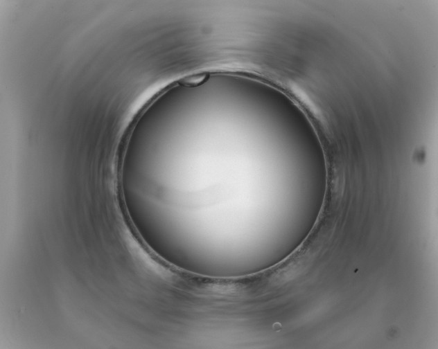 X0000091661468200709061010