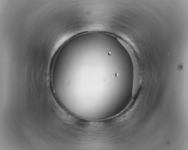 X0000091661469200709061010