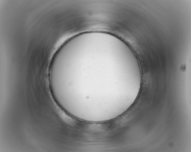 X0000091661470200709061010