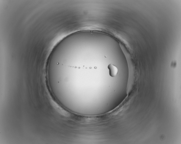 X0000091661471200709061010