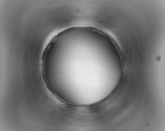 X0000091661472200709061010