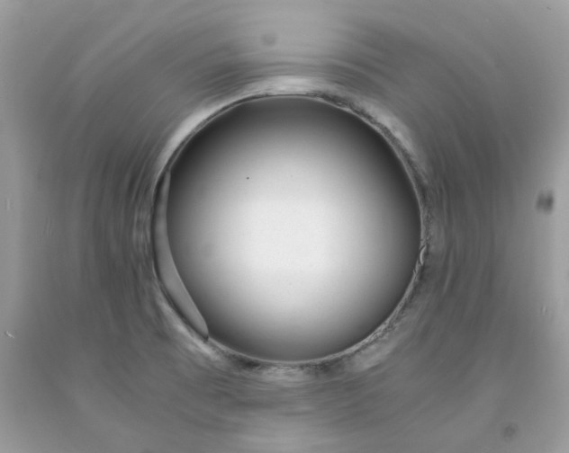 X0000091661473200709061010