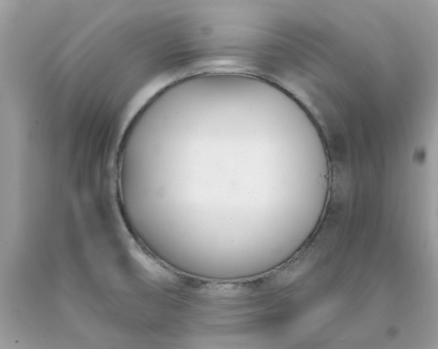 X0000091661474200709061010