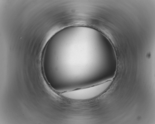 X0000091661475200709061010