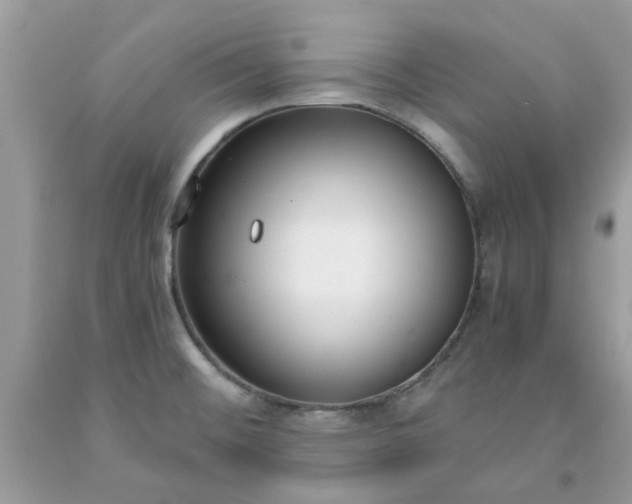 X0000091661476200709061010