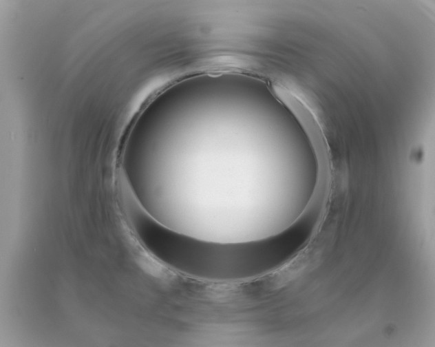 X0000091661477200709061010