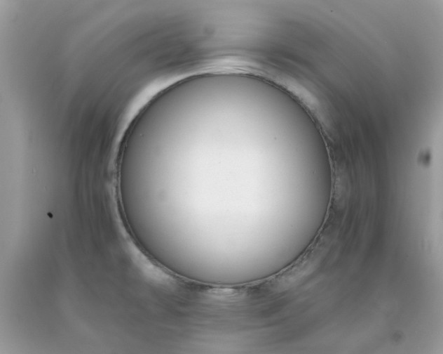 X0000091661478200709061010