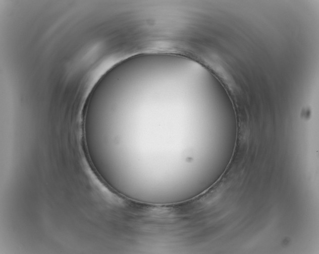 X0000091661479200709061010