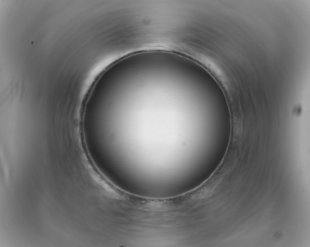 X0000091661480200709061010