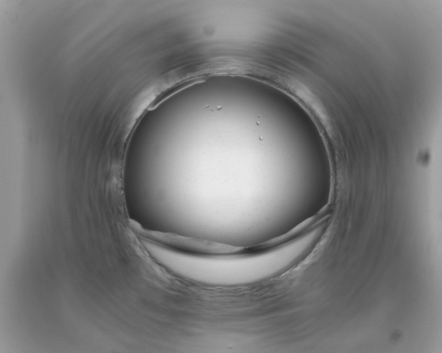 X0000091661481200709061010