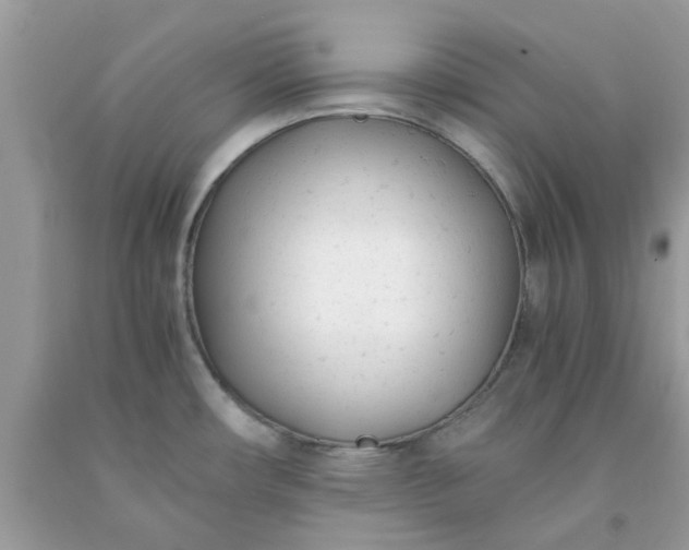 X0000091661482200709061010