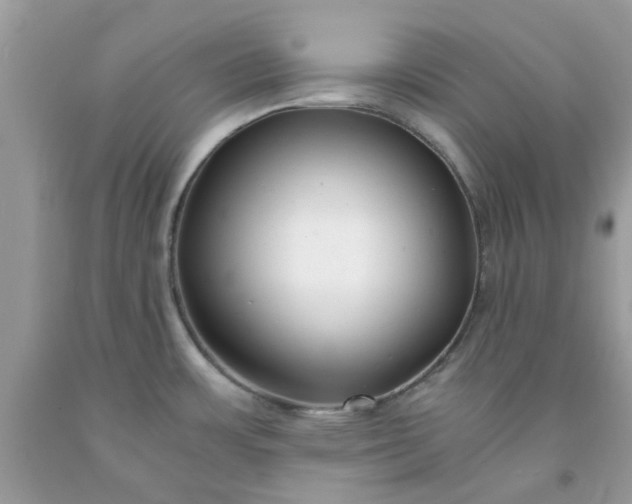 X0000091661483200709061010