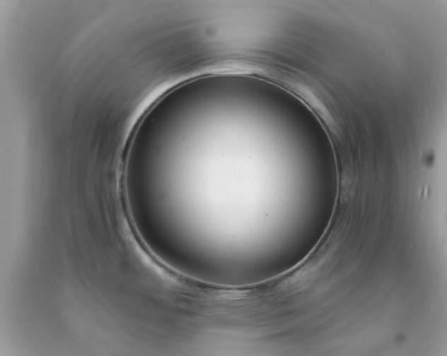 X0000091661484200709061010