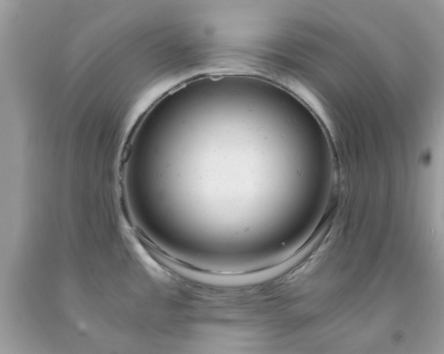 X0000091661485200709061010