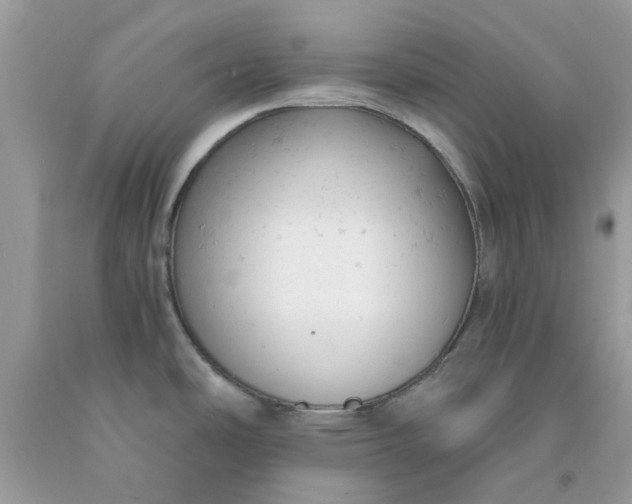 X0000091661486200709061010