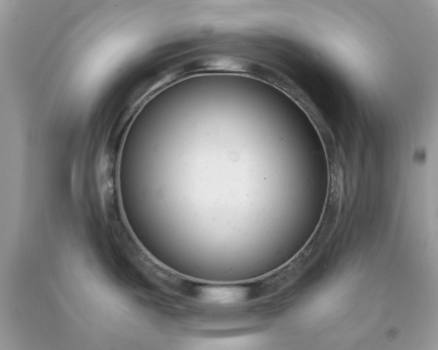 X0000091661487200709061010