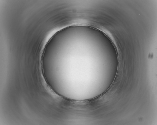 X0000091661488200709061009