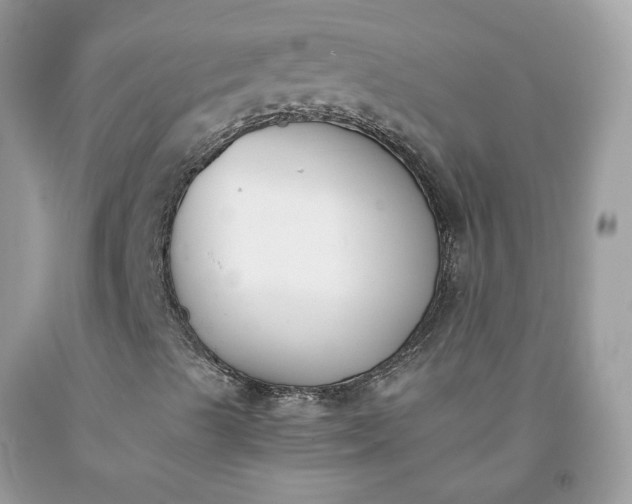 X0000091661489200709061009