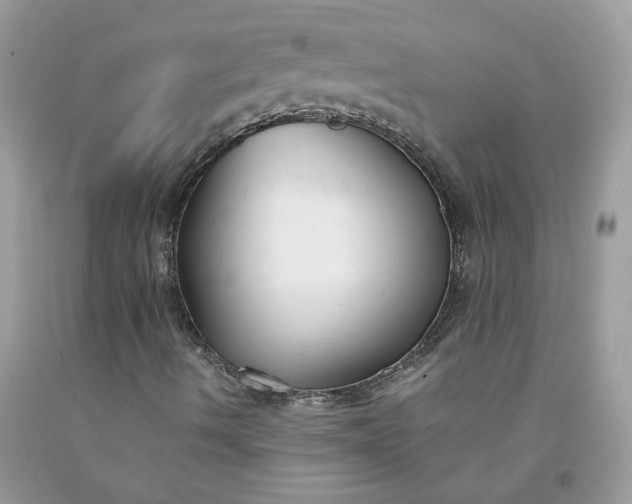 X0000091661490200709061009