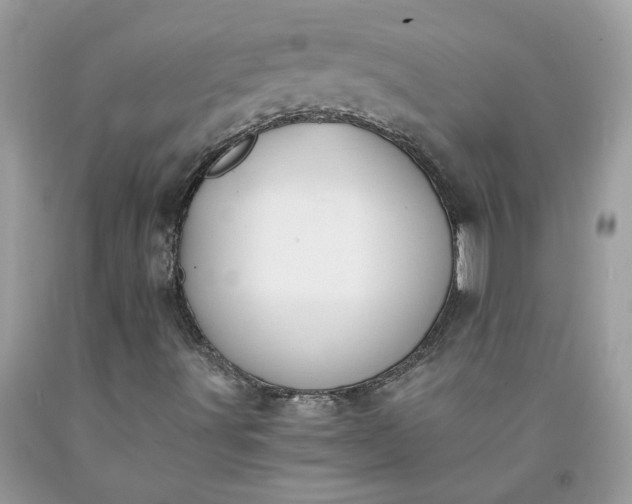 X0000091661491200709061009