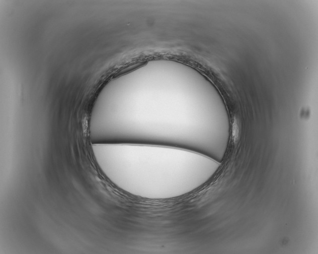 X0000091661492200709061009