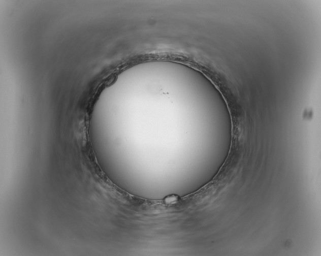 X0000091661493200709061009