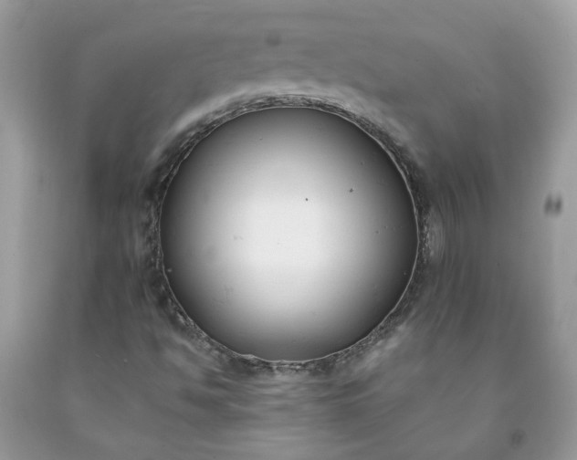 X0000091661494200709061009