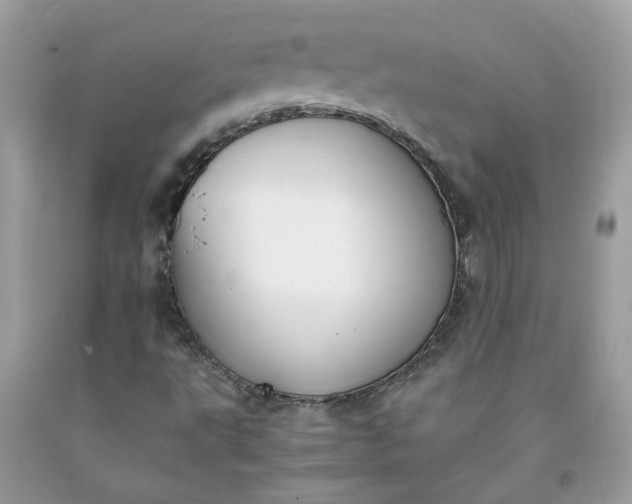 X0000091661495200709061009