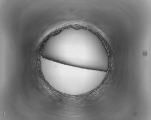 X0000091661496200709061009