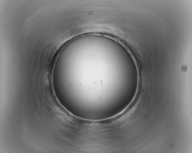 X0000091661497200709061009