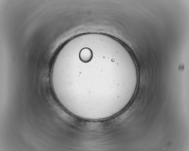 X0000091661498200709061009