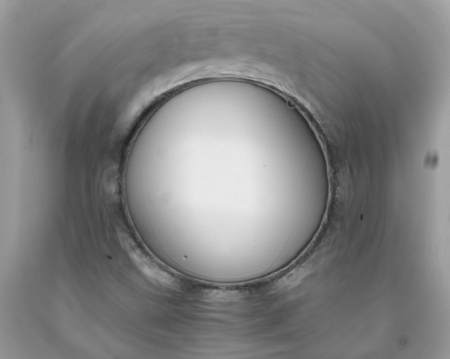 X0000091661499200709061009