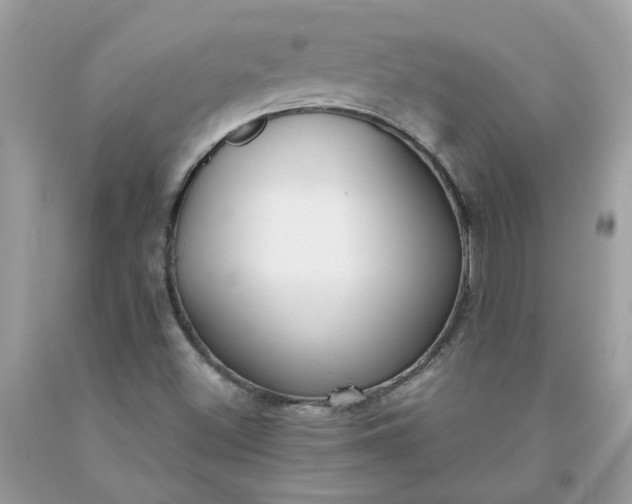 X0000091661500200709061009