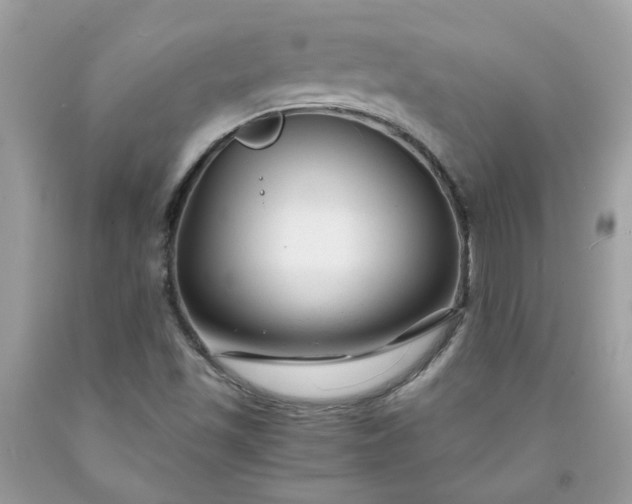 X0000091661501200709061009