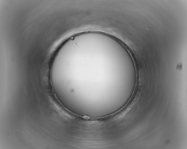 X0000091661502200709061009