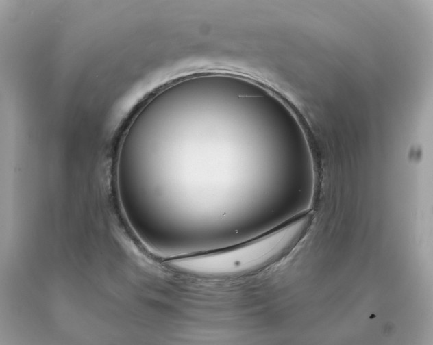 X0000091661503200709061009