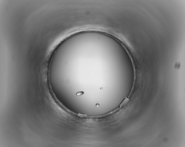 X0000091661504200709061009