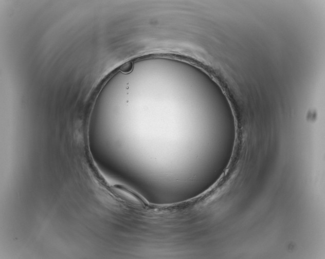 X0000091661505200709061009