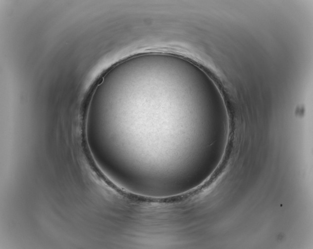 X0000091661506200709061009