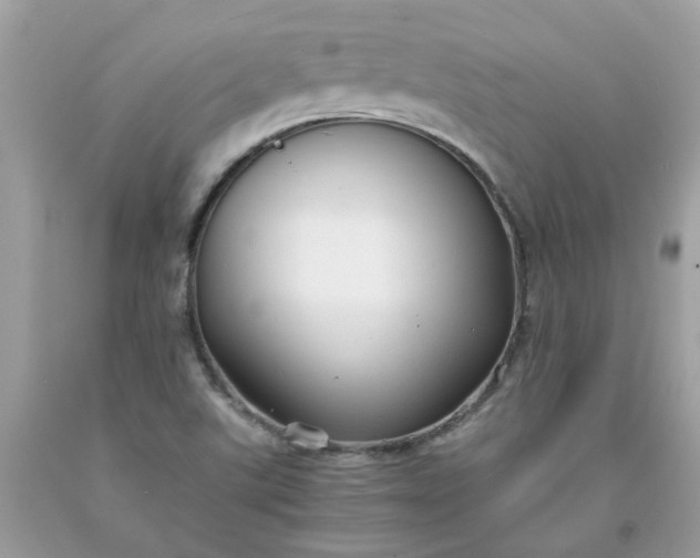 X0000091661507200709061009