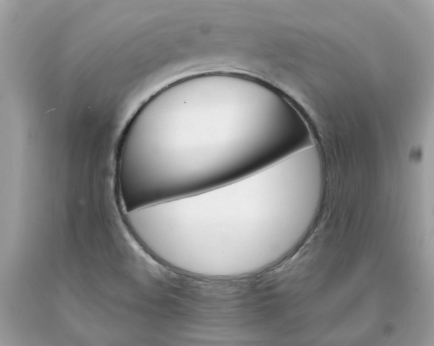 X0000091661508200709061009