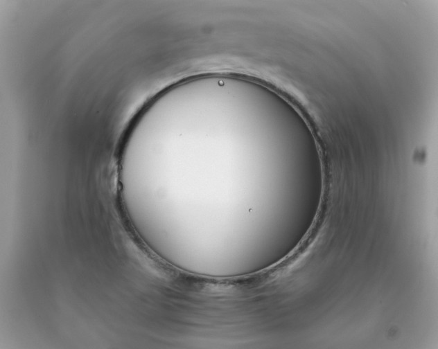 X0000091661509200709061009