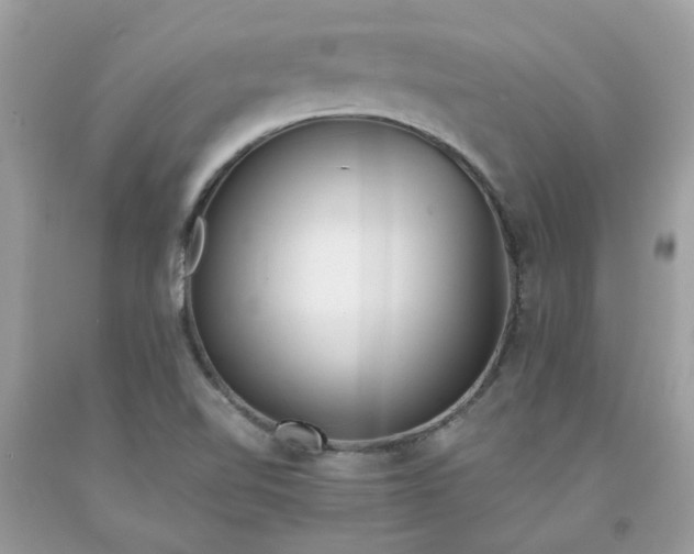 X0000091661510200709061009